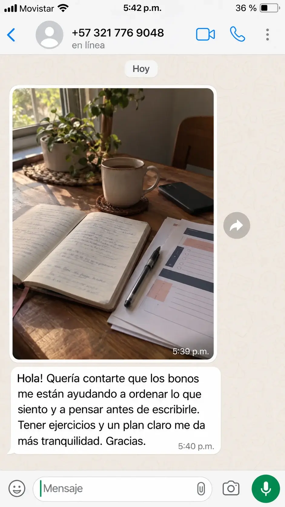 Testimonio de WhatsApp: los bonos me ayudan a ordenar lo que siento y a pensar antes de escribirle